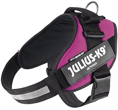 JULIUS K-9 IDC Powergeschirre Dunkelpink mit individuelle Klettaufschriften Bundle optionale Größe, 16IDC+CUSTOMP-DPN, Kleine, mittelgroße, und große Hunde