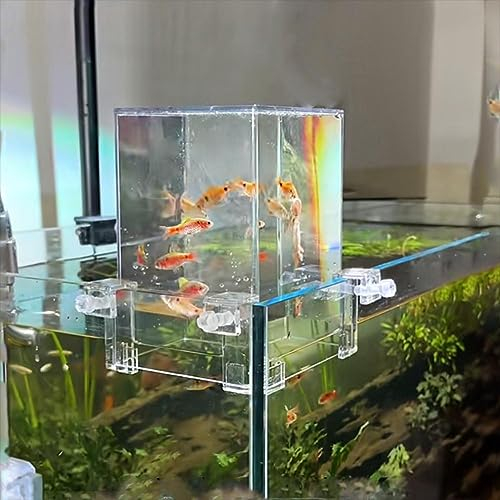 RJSQAQE Turm-Aquarium, transparentes Acryl-Aquarium, automatische Nachfüllung, Wasserstandspflege, vakuumhängtes Aquarium für Fische