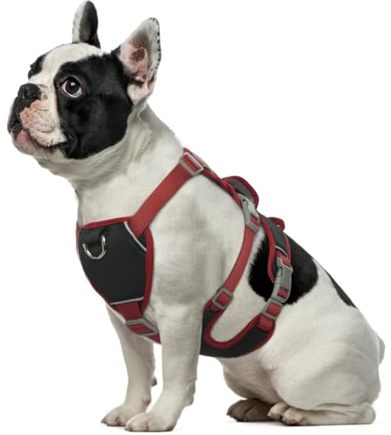 Hjumarayan Hundegeschirr Mittelgroße Hunde - Reflektierende Geschirr Hund Wasserdicht Sicherheitsgeschirr Hund mit Griff, Hunde Geschirrset Verstellbare Brustgeschirr Hund, Schwarz S