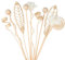 TUOYECHEN Raumduft Reed Diffuser - 12 Stück Natürliche Rattan Blumen Duft-Diffusor-Ersatz Sticks - Aroma Stäbe für Home, Office, Spa (10 Zoll, Primärfarbe)
