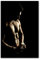 Postereck - 0796 - Mann, Blume Sixpack Sexy Erotik Muskeln Nackt Akt - Erotisch Sexy Nackt Wandposter Fotoposter Bilder Wandbild Wandbilder - Poster - 3:2-61,0 cm x 40,5 cm