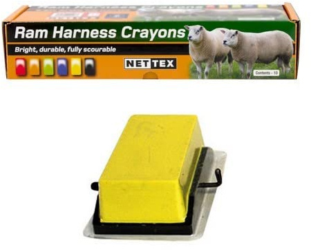 Nettex All Weather Sheep Marking Crayons - 10 Pack (Yellow)