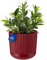 KONZEPT Pot de Fleurs avec Soucoupe, 16 cm de diamètre, Cache-Pot en Anthracite/Beige/Blanc/Rouge vin, 2,4 L, Pot de Plantes cannelé en Plastique (1, Bordeaux)