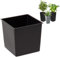 Maceta cuadrada intercambiable, duradera, 18,5 x 17 cm, color negro, 5 L, para macetas Lamela de 36 x 19 cm, facilita el control del contenido de agua en la maceta, reduce el consumo de suelo