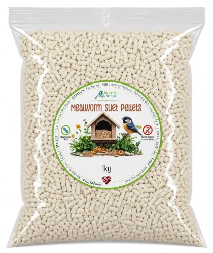 Wild Bird Food (1kg, Mealworm Suet Pellets)