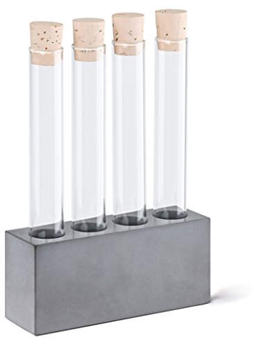 Korn Produkte Reagenzglashalter - Depot aus Beton und Glas - für Kaffeebohnen, Gewürze und mehr