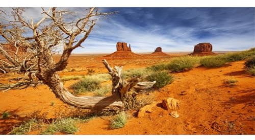 AWERT Hintergrund für Reptilien, 121,9 x 61 cm, Orange, Wüstenterrarium, Hintergrund aus strapazierfähigem Polyester