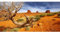 AWERT Reptilien-Habitat-Hintergrund, 121,9 x 61 cm, Orange Desert Terrarium Hintergrund Durable Polyester Hintergrund