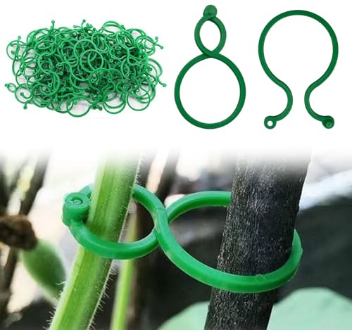 JAMSSOW 200 Stück Pflanzenclips,Pflanzenklammern zur Rankhilfe und Befestigung von Pflanzen,Tomaten Rankhilfe,Pflanzenclip Einstellbare für Blume Rebe Gemüse Tomaten