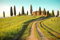 A.S. Création Fototapete Toscana 3,75 m x 2,50 m - WALLLOVE Tapete Feld mit Bäumen in Grün, Braun, Blau inkl. Kleister - DD129579