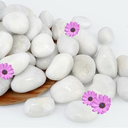 NUPICK 6lb White River Rocks for Plants Indoor, 1-2Inch Pebbles for Vases Fillers, Decorative Gravel for Fish Tank, Natural Polished Stones for Succulent, Bonsai, Landscaping, Bird Baths