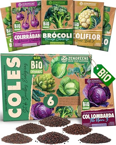 ZenGreens® Bio Bunte-Bete-Samen Set - 6 samenfeste Sorten - Farbe fürs Beet | Saatgut für Garten, Balkon & Hochbeet, farbenfrohe Knollen, ideal als Geschenk für Gartenfreunde, Pflanzensamen