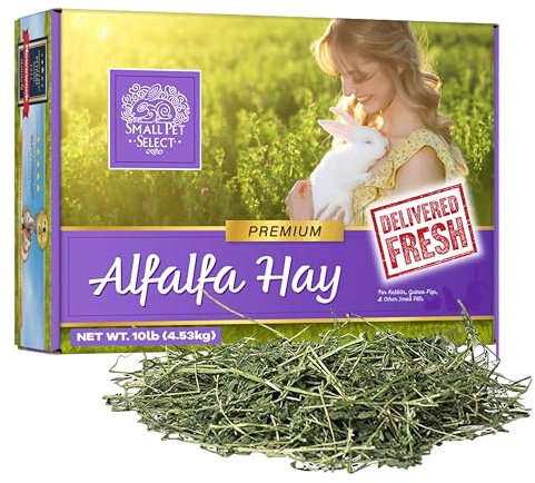 Small Pet Select Alfalfa Hay Pet Food for Young Rabbits, Guinea Pigs, Chinchillas, Tortoises and Other Small Animals, Easy to Store Box, 10 LB