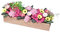 F Fityle Pots de fleurs miniatures de maison de poupée 1:12, plante de jardin féerique, plantes de maison de poupée de paysage de maison de jardin pour la