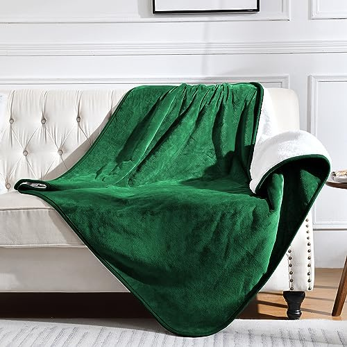 Yaning Wasserdichte Decke für Bett, Couch, Sofa, weiche urinabweisende Haustierdecke für Hunde, Welpen, Katzen, wendbare Sherpa-Fleece-Möbelschutz (Grün, 127 x 152,4 cm)