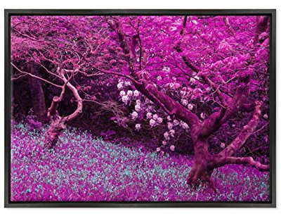 Quadro su Tela Canvas INTELAIATO - con Cornice - Infrarosso - Acero Rosso Giapponese Rosa - 50x70cm - Stile Moderno Nero - (cod.2285)