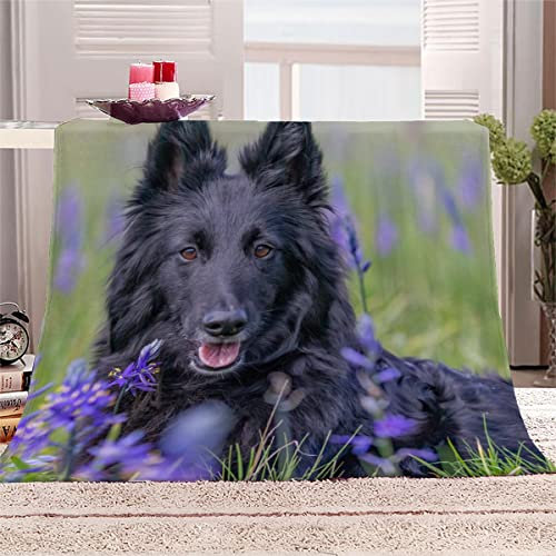 3D Gedruckt Flanelldecke Flauschige Schwarzer Belgischer Schäferhund Kuscheldecke mit Muster 150x200 cm Weiche Warme Microfaser Decke Erwachsene Wohndecke für TV Sofa Couch Bett Blanket Tagesdecke