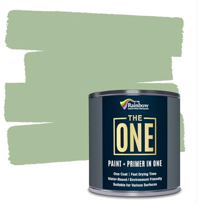 The ONE All-In-One Paint & Primer - Light Green Gloss, 250 ml | Multi-Surface 1 Coat Formula | Easy Indoor & Outdoor Decorating for Home & Garden Wall, Floor, Furniture | Durable, Water-Based, Low VOC