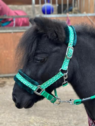 Halfter Führstrick Set mit Weihnachten Ho-Ho Print Grün Full-Mini Shetland (Pony)