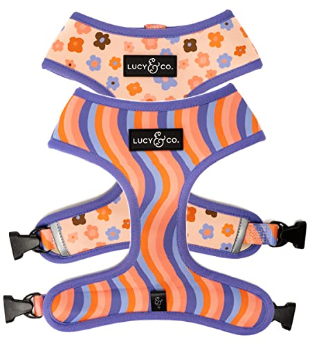 Lucy & Co. Let's Groove Wendegeschirr, Walking Halfter – Best Designer Haustiergeschirr für große Hunde – gepolsterte, groß, lila & korallenfarben Blumen & gewellt