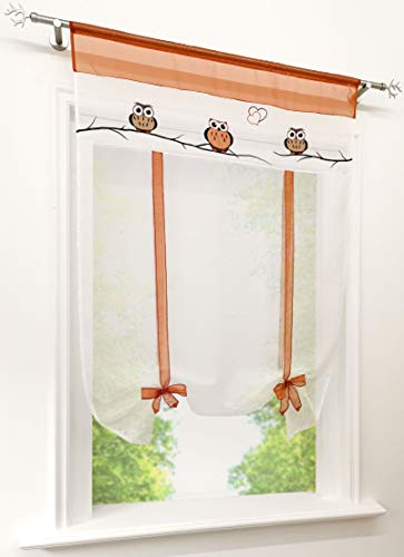 EZ GLAM Tunnelzug Raffrollo mit Eule Bestickt Rollos Voile Transparent 1PC Vorhang (B*H 60*140cm, Orange)