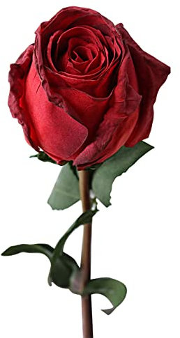 Rose artificiali da 61 cm con steli, fiori finti realistici a stelo singolo, rose finte, rose decorative fiori artificiali in vaso, fiori artificiali impermeabili per la decorazione rossa