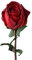 Rose artificiali da 61 cm con steli, fiori finti realistici a stelo singolo, rose finte, rose decorative fiori artificiali in vaso, fiori artificiali impermeabili per la decorazione rossa