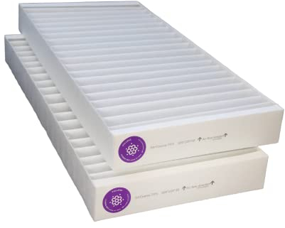 Brizz - Filtri compatibili VMC NILAN Comfort CT300 (2 pezzi)