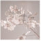 Bilderwelten Fototapete Blumen 192cm x 192cm Modern Natur Hortensie Blumentapete Vliestapete Tapete Wanddeko Ideen Wohnzimmer Schlafzimmer Küche