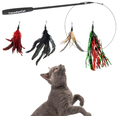 CanadianCat Company | Katzenangel Set mit 4 Wedeln/Federn, Katzenspielzeug Teleskop-Spielangel 140 cm Länge, Interaktives Katzenspielzeug aus Draht mit Federn