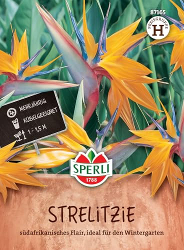 Sperli Strelitziensamen 87165 - südafrikanisches Flair, ideal für den Wintergarten - Inhalt für 5 Pflanzen - Pflanzensamen, Samen Pflanzen, Saatgut