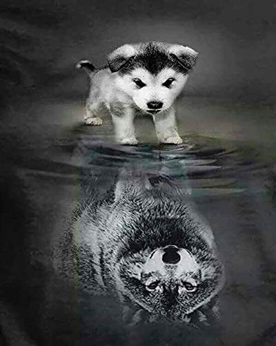 WOWDECOR Peinture Numéro Adulte Enfant, Loup Chien Animaux DIY Peinture par numero, Paint by Numbers