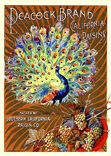 Metallschild San Francisco Peacock Raisin Grape Wine Fruit Metall Wandposter Vintage-Stil Badezimmer Dekor Vintage Wanddekoration Für Office Garten Badezimmer 20x30 cm