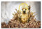 Therapi Borderlands Videospiel-Poster, dekorative Malerei, Leinwand, Wandposter und Kunstdruck, moderne Familienschlafzimmer-Dekoration, Poster, 20 x 30 cm