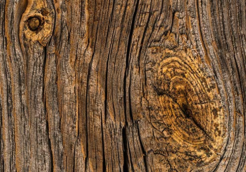 decomonkey Fototapete Holz 400x280 cm XXL Design Tapete Fototapeten Vlies Tapeten Vliestapete Wandtapete moderne Wand Schlafzimmer Wohnzimmer Holzoptik Natur