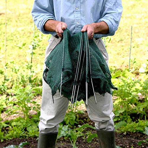 Suttons Easy Net Tunnel - Giant, Grow Your own Veg, Plant Protection Equipment, Pest Control Barrier, Veg Growing Equipment