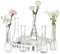 NUPTIO Glass Bud Vases for Flower: 6 Pcs 21.7cm Tall Small Vase for Wedding Centrepiece Decor - Clear Decorative Ribbed Vase for Party Housewarming Home Room Table Decoration