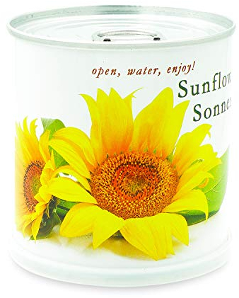 MacFlowers Sonnenblume - Blumen in der Dose
