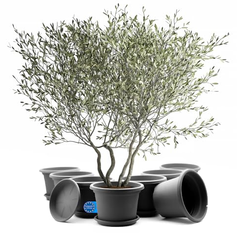 BigDean 8 Stück Blumentopf mit Untersetzer rund ø 40 cm Anthrazit – wetterfester Pflanzkübel Made in Europe