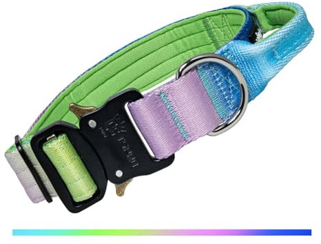TSPRO Premium Hundehalsband mit Griff Verlauf Dickes Verstellbares Taktisches Hundehalsband Schwere Ausführung Schnellverschluss Metallschnalle für Mittelgroße bis Große Hunde (Regenbogen M)
