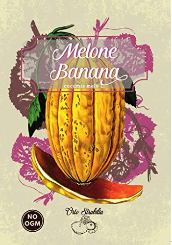 melone banana,cucumis melo,gr 1,semi rari,semi strani, orto strabilia