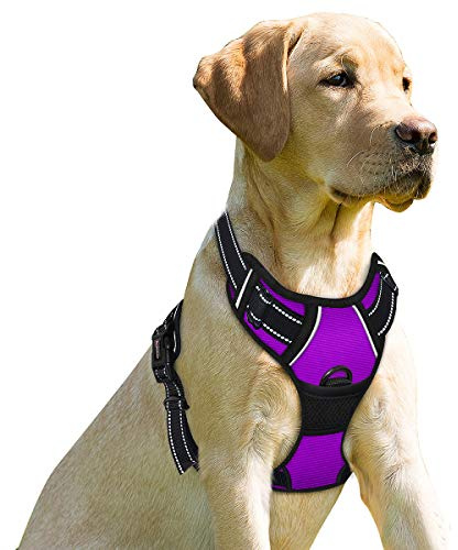 BARKBAY Dog Harness No-Pull Pet Harness Adjustable Outdoor Pet Vest 3M Reflective Oxford Material Vest for Dogs Easy Control for Small Medium Large Dogs(Purple,XL)