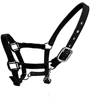 SagaSave Pferde-Halfter aus Nylon, gepolstert, verstellbarer Nasen- und Schnallenverschluss mit Klimmzugclip, Schwarz