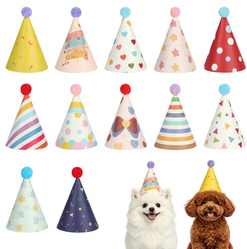 AYBUY 12 Stück Partyhüte, Geburtstag Partyhüte für Kuscheltiere, Kleine Party Hüte Geburtstagshut mit Pompons für Kinder und Erwachsene