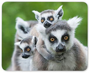 Destination Vinyl Ltd Ring Tailed Lemur Family Mouse Mat Pad - Wild Animal Desk Computer #15361