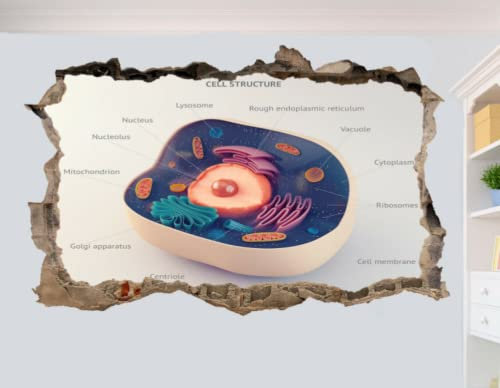 ZELLSTRUKTUR BIOLOGIE GENETIK WANDAUFKLEBER 3D KUNST POSTER WANDAUFKLEBER DEKOR