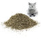 Herbe à Chat Séchée, 50g Menthe a Chat Naturelle de Haute Qualité, Utilisée Comme Collation ou Remplissage Jouet pour Chat, Délicatement Séchée et Scellée et Emballée pour Une Conservation Facile