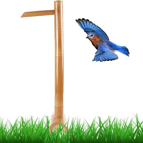 Kit de fuente de bambú con cascada de decoración zen japonesa para jardín con características de agua, 40 cm