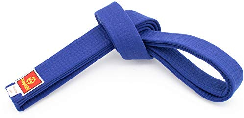Hayashi Budogürtel in vielen Längen und Farben für Budokas - blau, 260 cm
