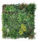 XONE SIEPE ARTIFICIALE (AMAZZONIA 100X100CM)